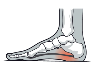 foot