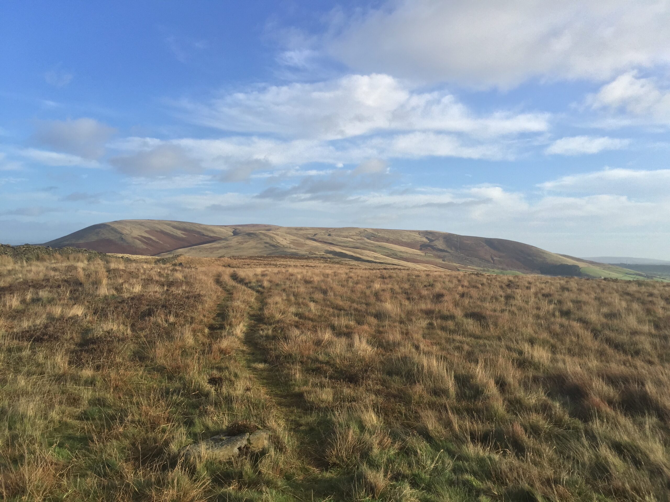WWD Walk Image 1 – Mark Sutcliffe