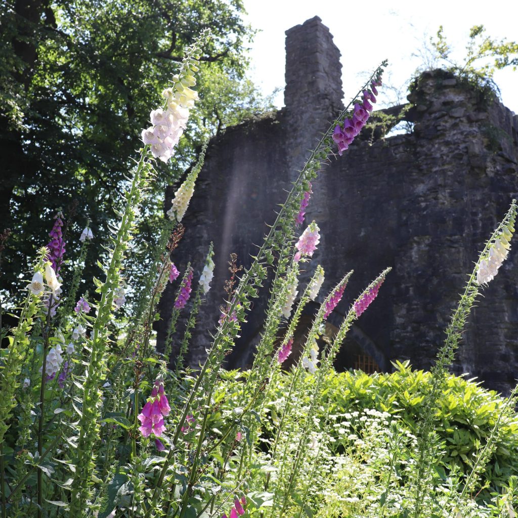 Whalley Abbey
